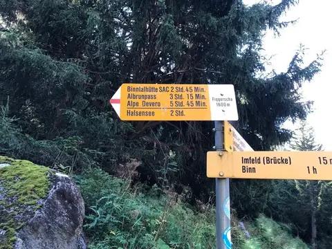 I cartelli svizzeri a Feld