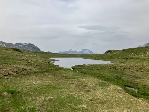 Un laghetto tra i pascoli d'alta quota
