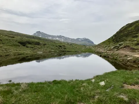 Un laghetto e i pascoli verso l'alpe Forno