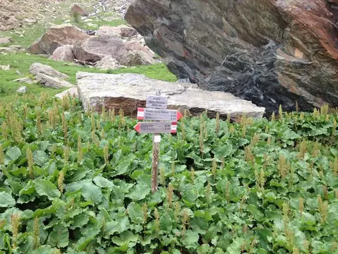 Il cartello tra le foglie dei Piani della Rossa