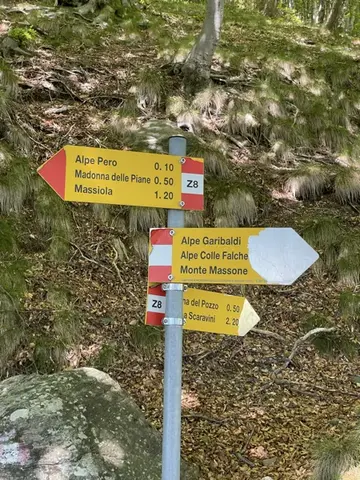 I cartelli del sentiero Z8 nel bosco