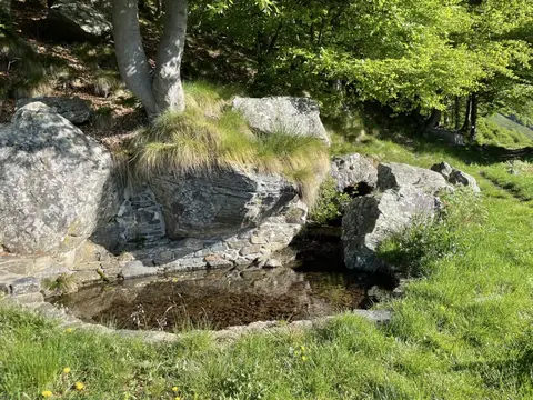 Una pozza tra le rocce nel bosco