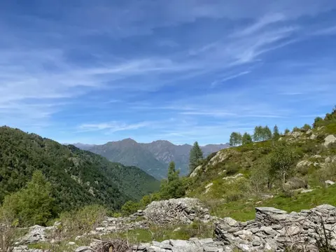 I pascoli e le montagne