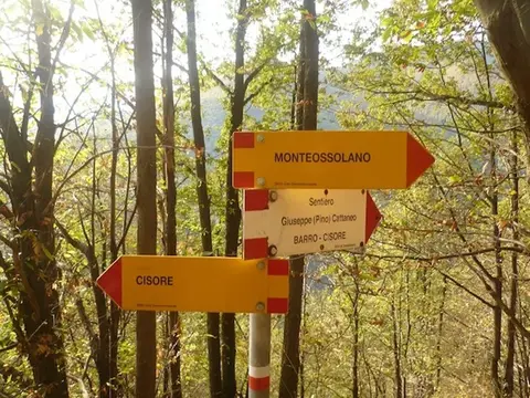 I cartelli nel bosco per Monteossolano