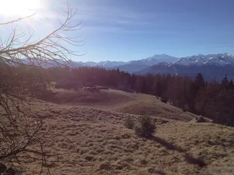 I prati dell'alpe Pescia