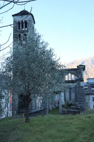 Il campanile di un oratorio tra gli alberi