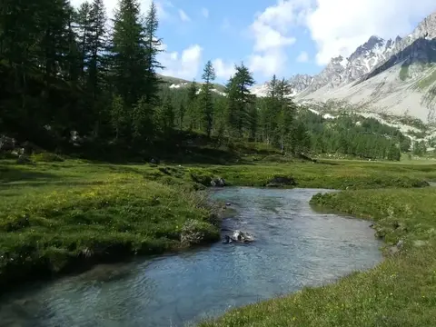 Torrente che scorre in una piana erbosa tra i larici