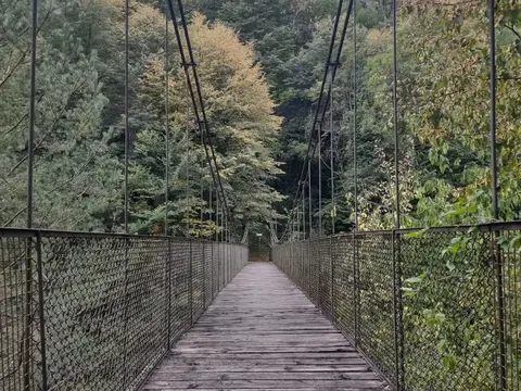 Ponte sospeso in legno e metallo nel bosco