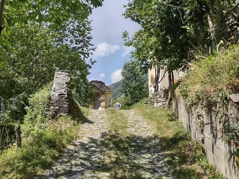 Sentiero acciottolato tra muri a secco e alberi