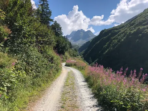La strada sterrata tra i fiori