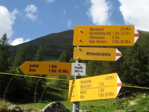 I cartelli svizzeri gialli nel bosco
