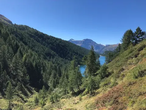 Il lago di Codelago tra i larici