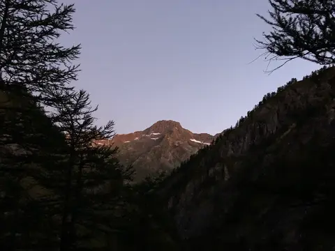 Le cime all'alba tra i larici