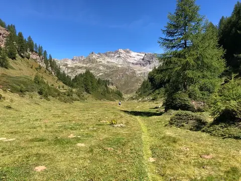 Il sentiero tra i prati verso l'alpe Forno