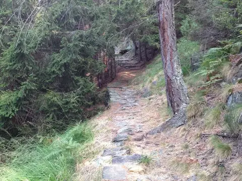 La mulattiera lastricata nel bosco