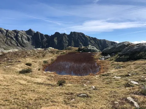Un laghetto tra l'erba ingiallita in autunno