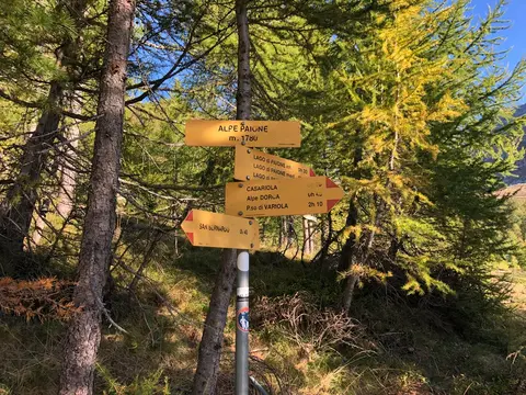 Il palo segnaletico dell'alpe Paione, 1780 m