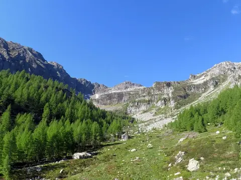 La conca di Albiona tra i larici