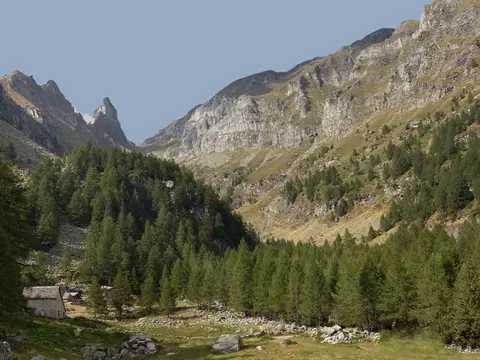 Il vallone di Solcio tra i larici