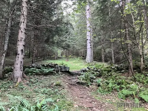 Il sentiero nel bosco sopra Valdo