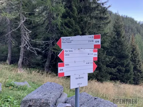 Il palo segnaletico dell'alpe Bedriola