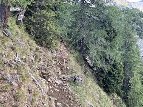 Il sentiero ripido nel bosco verso Bedriola