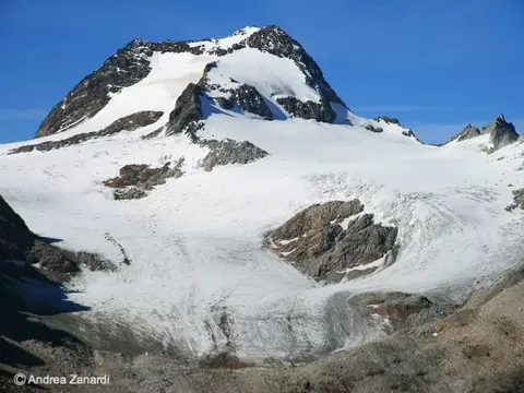 Il ghiacciaio della punta d'Arbola