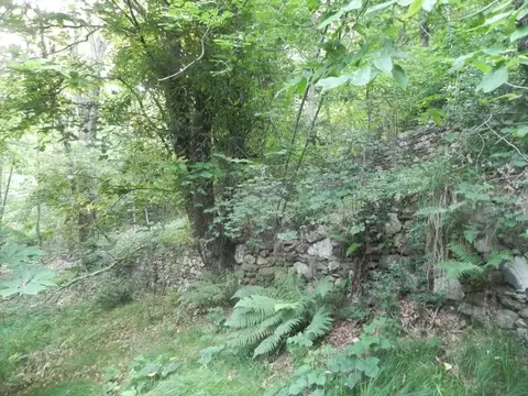 Un muro a secco coperto di edera