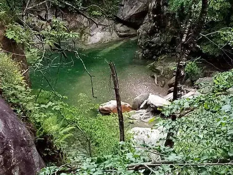 Una pozza d'acqua verde nel torrente
