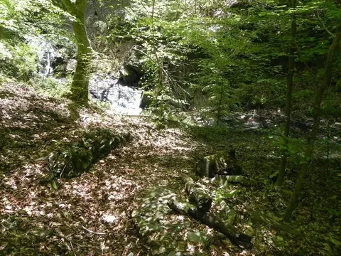 Il sentiero nel bosco vicino a una cascatella