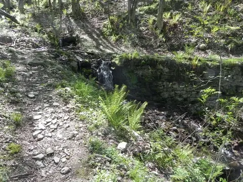 Il sentiero e un ruscello nel bosco