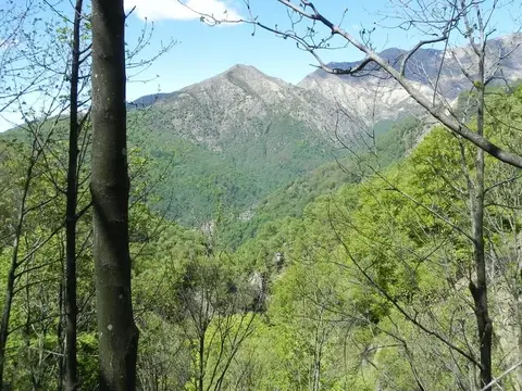 Le montagne viste dal bosco
