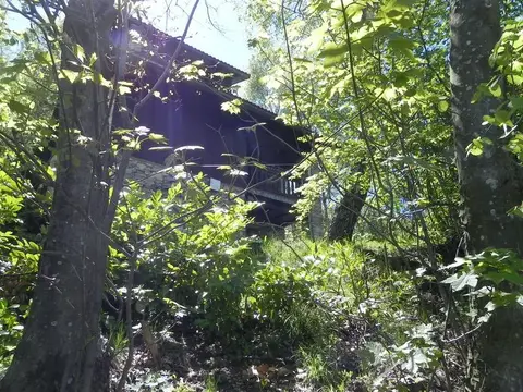 Una casa di legno tra gli alberi