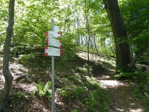 I cartelli dei sentieri nel bosco