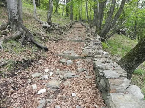 Una vecchia mulattiera tra i muri a secco nel bosco