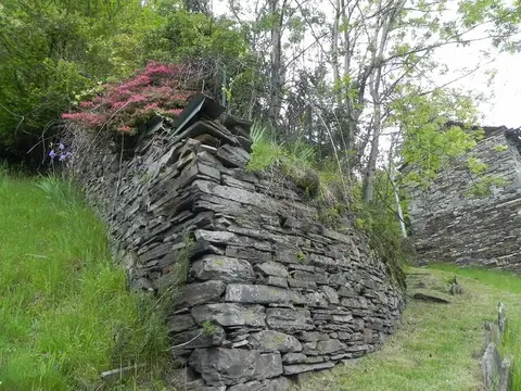 Un muro a secco con i fiori