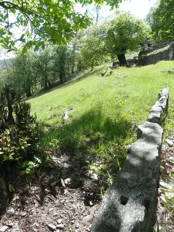 Un muro a secco tra i prati terrazzati