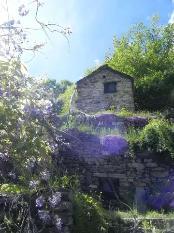 Una baita in pietra tra il glicine