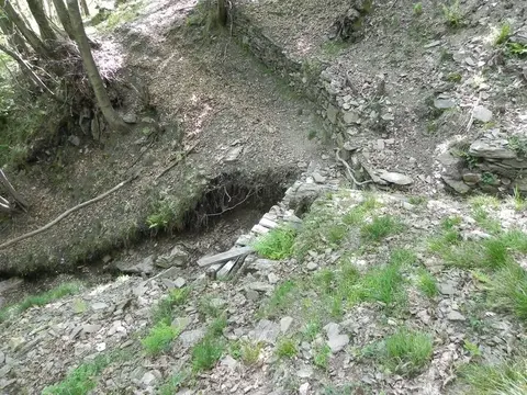 I terrazzamenti invasi dal bosco