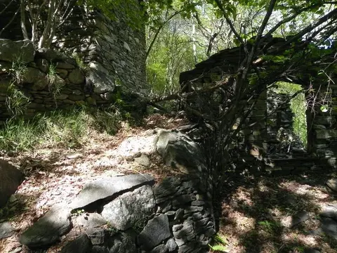 I ruderi di un corte nel bosco