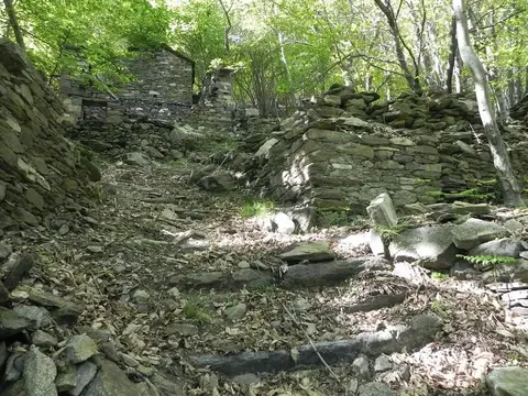 La mulattiera tra i muri a secco nel bosco