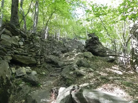 Muri a secco e massi nel bosco
