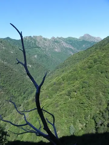Le montagne della Val Grande viste dai versanti di Cicogna
