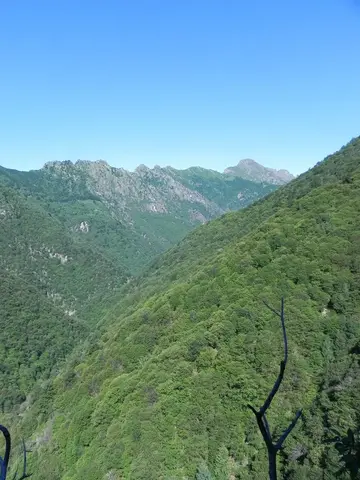 La valle e le creste viste tra gli alberi