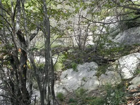 Gli affioramenti di roccia da cui si ricavavano le piode