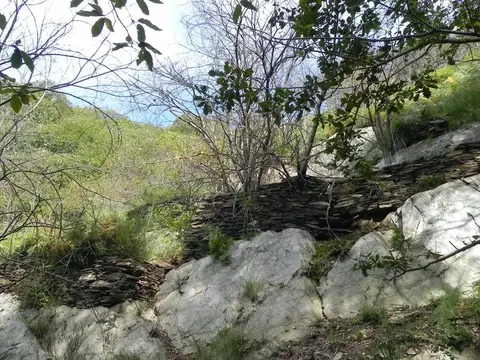 Le rocce e i muri a secco nel bosco