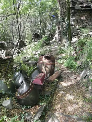 Vecchi oggetti di una baita abbandonata nel bosco