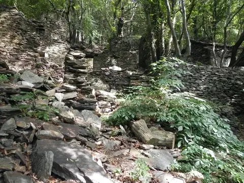 I ruderi di Montuzzo tra le felci