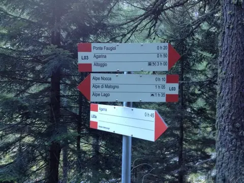 Il palo segnaletico del sentiero L03 nel bosco