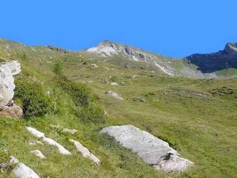 I pendii erbosi sotto il pizzo del Forno